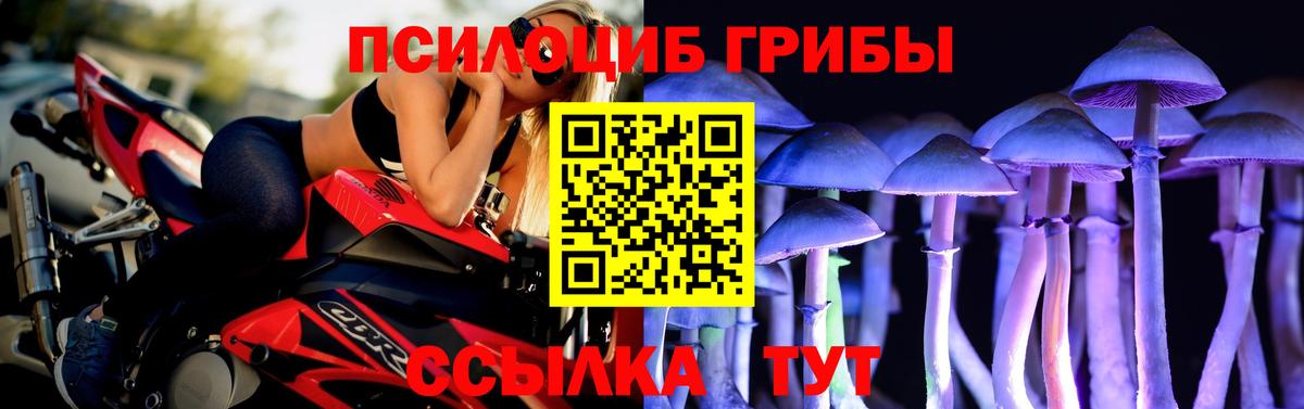 Псилоцибиновые грибы Magic Shrooms  Галлюциногенные грибы GOLDEN TEACHER  купить  цена  Гагарин  Вход с VPN 